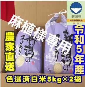 麻植様専用　特別栽培米・令和5年産新潟コシヒカリ　白米5kg×2個★農家直送★色彩選別済29