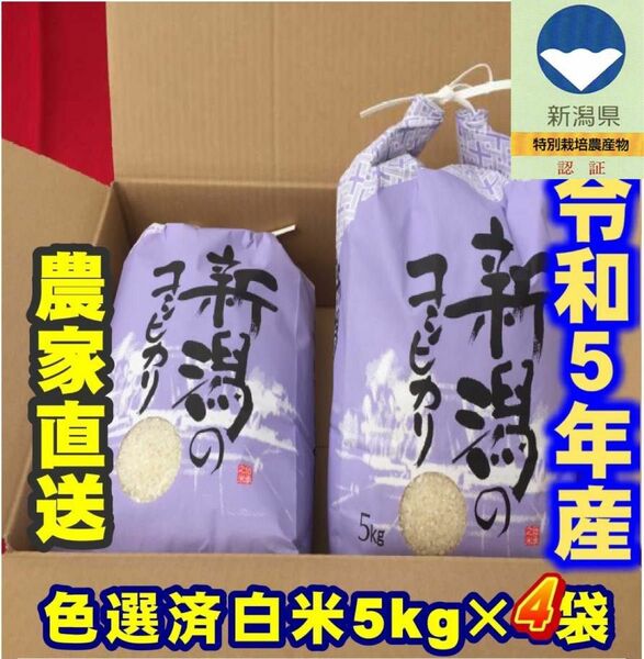特別栽培米・令和5年産新潟コシヒカリ　白米5kg×4個★農家直送★色彩選別済30