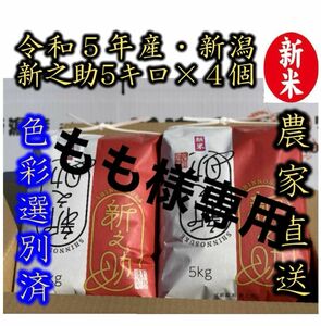 もも様専用　新米　令和5年産　新潟　新之助　白米5kg×4個★農家直送★色彩選別済12