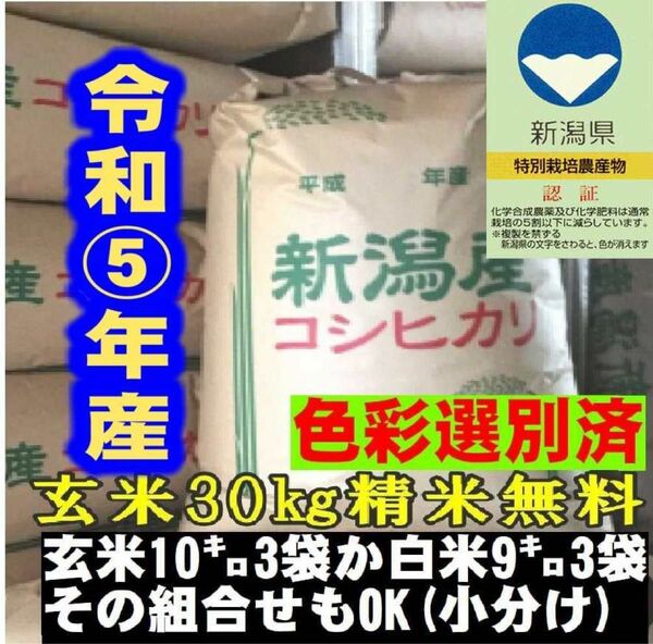 特別栽培米・令和5年産　玄米新潟コシヒカリ30kg（10k×3）精米無料★農家直送　色彩選別済29