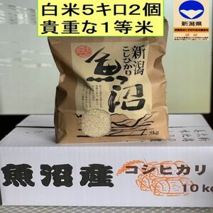 貴重な、1等　魚沼産コシヒカリ　特別栽培米白米5kg×2個　十日町市松之山地区産コシヒカリ