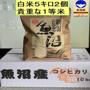 貴重な、1等　魚沼産コシヒカリ　特別栽培米白米5kg×2個　十日町市松之山地区産28