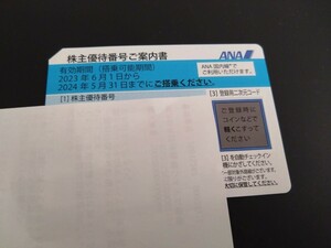 【期限切迫】ANA 株主優待券 2024年5月31日まで 番号通知対応　③