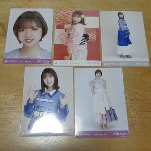 乃木坂46　和田まあや　生写真5枚　管理番号6