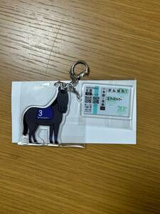 JRA Welcome Chance D. memorial hero acrylic fiber key holder rice shower not for sale 