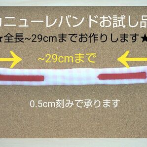 カニューレバンドお試し品(全長~29cmまで可能)