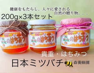  Japan Mitsuba chi honey rare (3 pcs set ) 200g×3 forest. honey 
