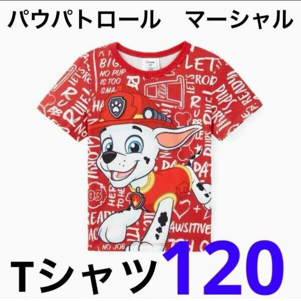 【新品未使用】2点目から割引　パウパトロール　Tシャツ　マーシャル　120 120cm 半袖　男の子　女の子