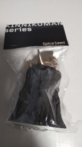 送料無料 キン肉マン Spiceseed 金銀のマスク フィギュア レジンキャスト 悪魔将軍 威厳 峻厳 特典 スパイスシード 金のマスク 銀のマスク