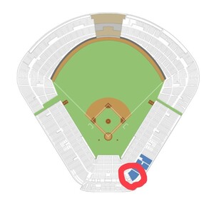 6 month 6 day god . lamp place Tokyo Yakult Swallows VS Saitama Seibu Lions alternating current war S designation seat 1. side through . side inside .1 sheets 