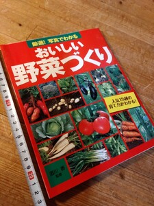 65家庭菜園「厳選/おいしい野菜づくり」人気15種類に絞って詳細に解説、63頁/春夏野菜/秋冬野菜、初心者にも分かり易い、＃朝来佐嚢＃