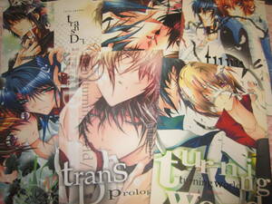 機動戦士ガンダムSEED　DESTINY　双巣隊　あっぷる前線　同人誌21冊　アスキラ主　主要キャラ　関連冊子　カレンダー　ティッシュBOX