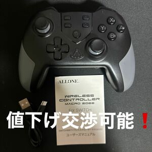 Nintendo Switch Proコントローラー プロコン プロコントローラー