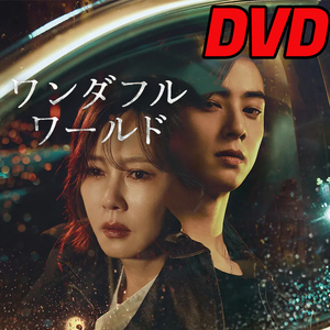 ワンダフルワールド D702 「HOLY」 DVD 「DAY」 【韓国ドラマ】 「IN」