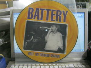 BATTERY / ONLY THE DIEHARD REMAIN ドイツ盤限定ピクチャーLP Better Than A Thousand Shelter Youth Of Today Government Issue Warzone