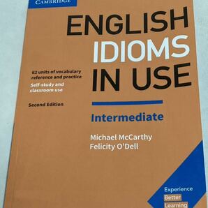 English Idioms in Use 2nd Edition Intermediate Book with Answers Vocabulary Reference and Practice