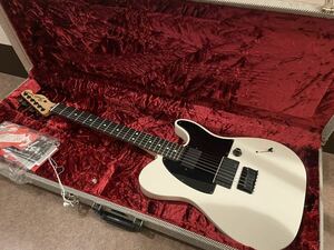 FENDER ( フェンダー ) Jim Root Telecaster Flat White