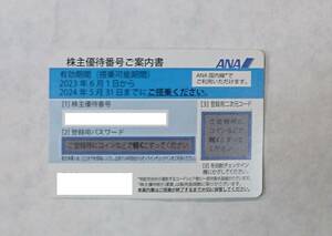 ANA株主優待券 1枚（2024年5月31日搭乗まで) 番号通知可