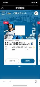 エスコンフィールド北海道 5/31(金) 日本ハムファイターズ対横浜DENAベイスターズ 交流戦 ペアチケット 2枚