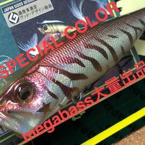 【SPECIAL COLOR】Megabass ルアー メガバス POPX SS ZEBRA（検:POP-X、希少、ポップX、POPMAX、SP-C、限定、入手困難）※同梱可能の画像1