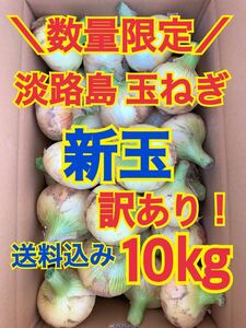 淡路島 玉ねぎ 玉葱 新玉 10kg 送料込み 農家直送 南あわじ 訳あり