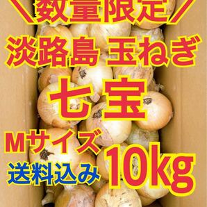 淡路島 玉ねぎ 玉葱 10kg 送料込み 農家直送 南あわじ 七宝 M