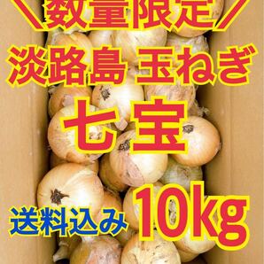 淡路島 玉ねぎ 玉葱 10kg 送料込み 農家直送 南あわじ 七宝