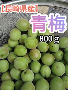 【長崎県産】　青梅　生小梅　800ｇ　朝採れフレッシュ