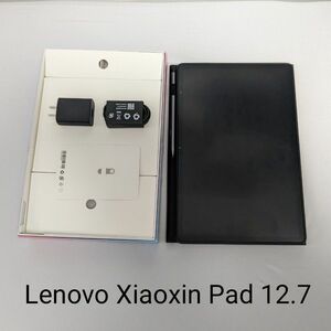 Lenovo Xiaoxin Pad Pro 2023 (P12 Pro 同等品) グローバルROM Wi-Fiモデル