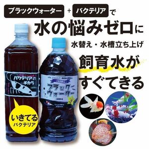 【送料無料】ブラックウオーター+バクテリア1000ccセット販売 送料無料 エビ金魚熱帯魚の水槽立ち上げに