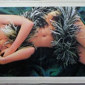 LP●LOVE / VA  (1971年） 非売品  ”ヴィーナス  立木義弘豪華見開き写真集の画像2