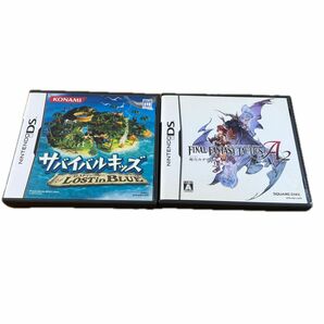 ニンテンドーDS 人気ソフト　2点セット