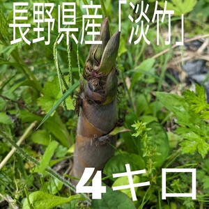 長野県産「淡竹」100サイズ　4㌔　糠付き