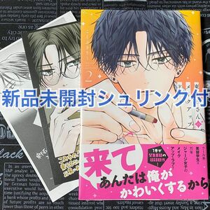 【いいね禁止】 東千石さんのメイクアップドール 2巻 ことぶきりー 新品未開封 こみらの&共通 初版