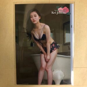 NMB48 上西恵 トレカ アイドル グラビア カード 水着 ビキニ RG09 タレント トレーディングカード AKBG