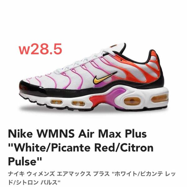 ナイキ NIKE エアマックスプラス