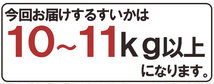 （予約）限定1玉！鳥取産【大栄すいか】特大 なんと!10ｋｇ以上！！！！_画像8