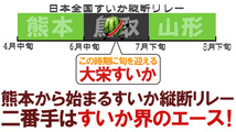 （予約）限定1玉！鳥取産【大栄すいか】特大 なんと!10ｋｇ以上！！！！_画像2