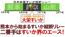 （予約）限定1玉!鳥取産【大栄すいか】超特大 12ｋｇ以上 JUMBO！！！！_画像2