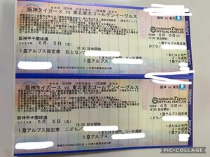 阪神タイガース　セパ交流戦チケット6/5楽天戦