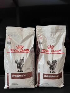 ロイヤルカナン 消化器サポート　2kg 2袋　計4kg 猫　フード 療法食 ドライ 猫用　未開封