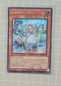 白き森のリゼット [SE] INFO-JP014 遊戯王OCG INFINITE FORBIDDEN