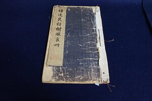 ★050118 中国？ 古書 和書 〇遂良枯樹賦哀冊 ★