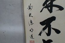 ★051004 茶道具 茶掛 掛軸 玉龍寺住職 戸上明道 書 一行書 「蓬莱不老仙」 共箱 ★_画像6