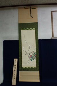 ★051345 酒井抱一 「旧 梅椿鶯図」 376/1500 複製画 日本画 掛軸 共箱★