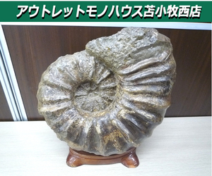  details unknown fossil collection .. for stone ornament pedestal attaching width approximately 33cm weight approximately 14Kg used Tomakomai west shop 