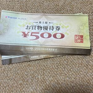 ヤマダ電機 YAMADA ヤマダデンキ お買物優待券 6000円分　有効期限2024.6.30