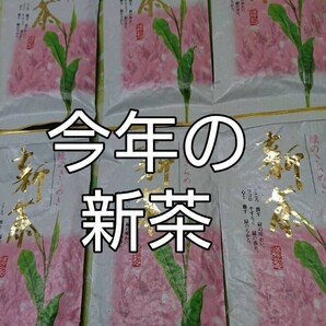 　2024年度産　 静岡県産 深蒸し茶100g6袋 健康茶 日本茶 緑茶 静岡茶 お茶 健康茶　深むし茶