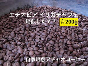 自家焙煎アチャオコーヒー　コーヒー発祥の地　エチオピア イリガチャフェ 200g(100gX2袋) 焙煎したて！送料込み