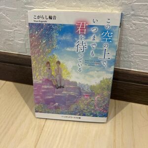 この空の上で、いつまでも君を待っている （メディアワークス文庫　こ６－１） こがらし輪音／〔著〕